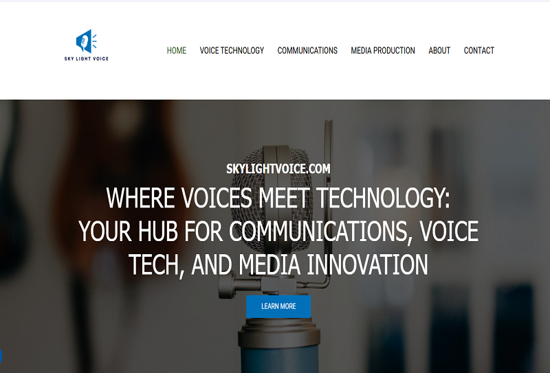 skylightvoice.com